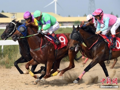 2019全國速度馬經(jīng)典大賽暨科爾沁右翼中旗那達慕舉行