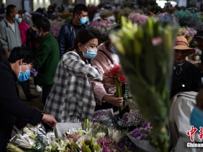 昆明:斗南花卉市場(chǎng)交易回暖