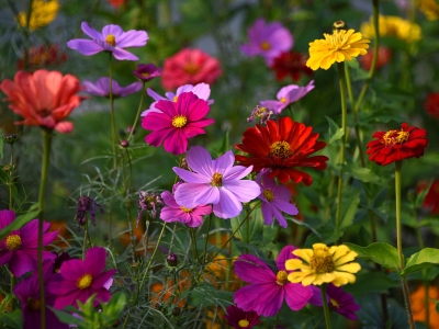 A@վոʢ_(ki) 涷Gɫ